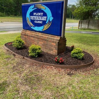Flint Veterinary Clinic - Look for our sign! - Veterinarians Near Me - Flint, Texas