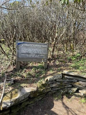 Blue Ridge Parkway - Craggy Gardens Visitor Center by null