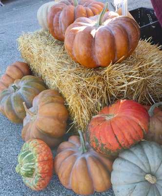 U City Farmers Market by null
