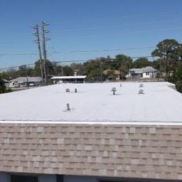 Slide of Dr Roof of Tampa Bay