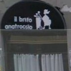 Il Brutto Anatroccolo