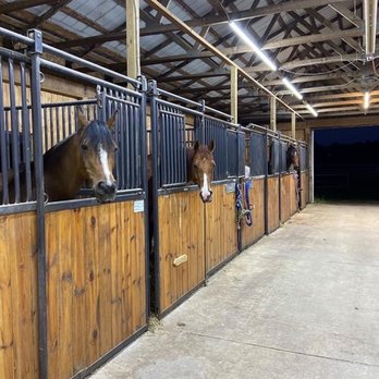 Swan Creek Equestrian Center - Gorgeous. - Horse Boarding Near Me - Carleton, Michigan Swan Creek Equestrian Center - Gorgeous. - Horse Boarding Near Me - Carleton, Michigan