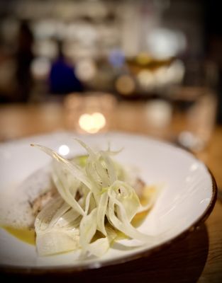 Rooster & Owl by null