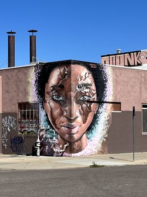 Denver Graffiti Tour by null