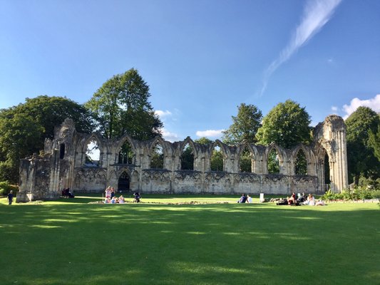 Museum Gardens by null