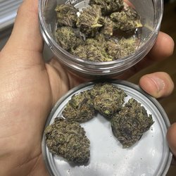 3Fifteen Primo Cannabis - Lemon OG Haze