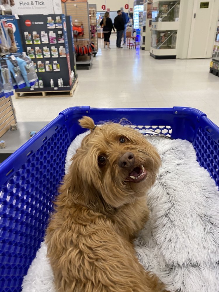 PETCO 10 Photos & 50 Reviews 9425 East County Line Rd, Englewood