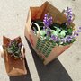 Photo of Plantasjen Storo