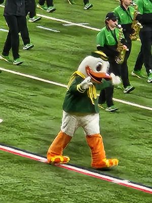 University of Oregon by null