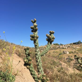 Sycamore Canyon Wilderness Park - Parks Near Me - Riverside, California Sycamore Canyon Wilderness Park - Parks Near Me - Riverside, California