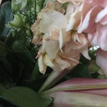 Oviedo Beautiful Flowers - Florists Near Me - Oviedo, Florida