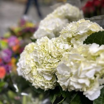 Costco Wholesale - Smell the flowers - Wholesale Stores Near Me - San Dimas, California