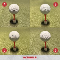 Scheels