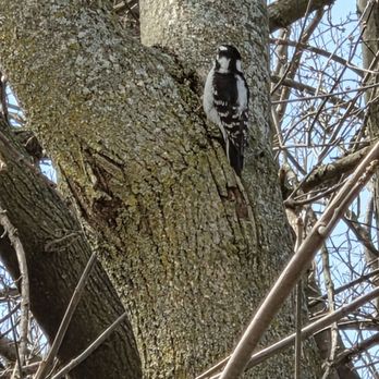 Montrose Point Bird Sanctuary - Hiking Near Me - Chicago, Illinois Montrose Point Bird Sanctuary - Hiking Near Me - Chicago, Illinois