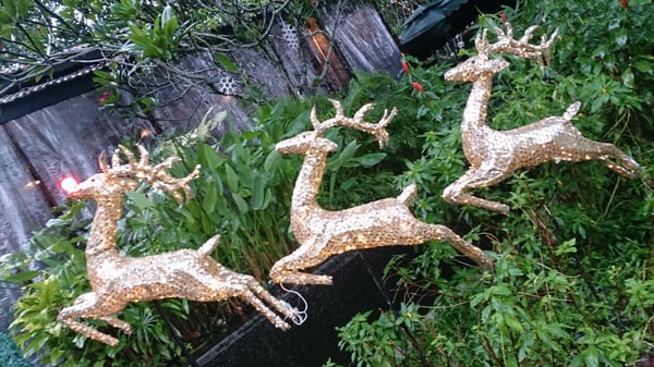 RedDot Brewhouse by null