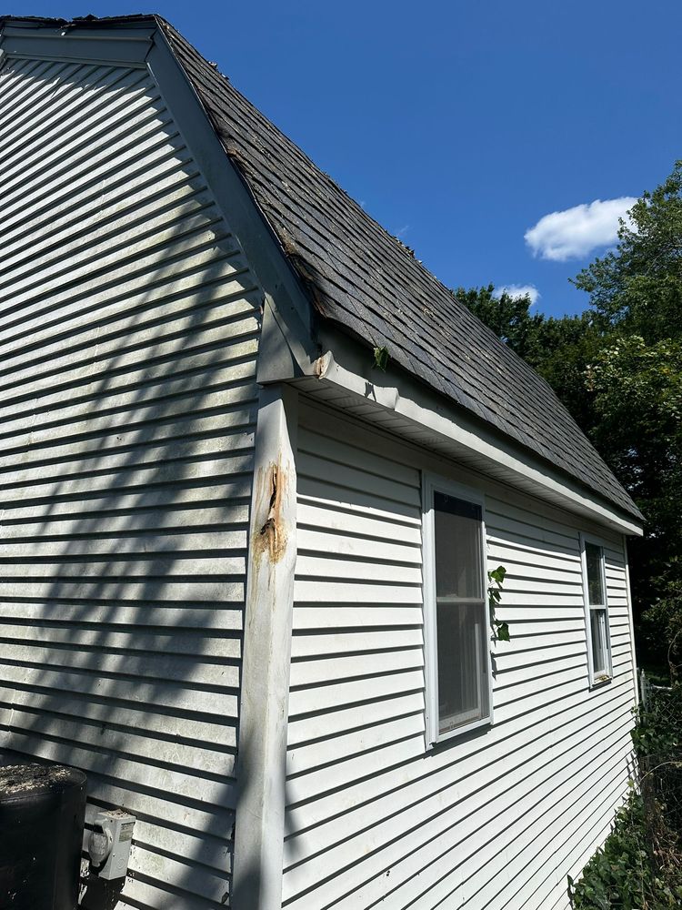 Rick Tree Service - tree service in Providence, RI