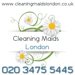 Cleaning Maids