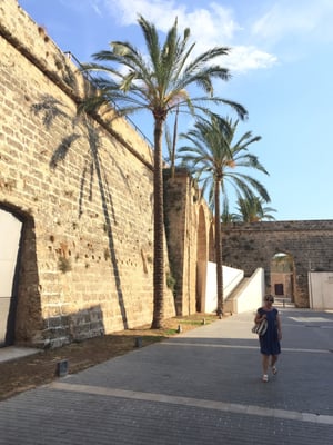 Es Baluard Museu d'Art Contemporani de Palma by null