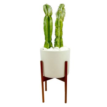 Plants Y'all - Floral Designers Near Me