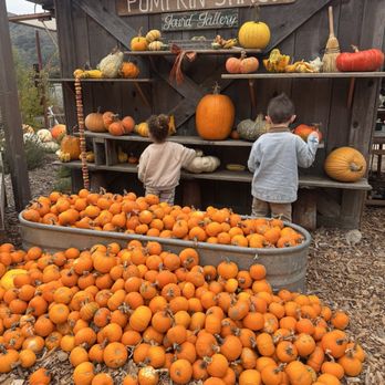 Earthbound Farm Stand - Organic Stores Near Me - Carmel, California