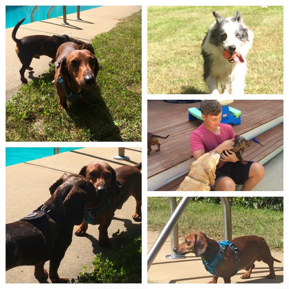 EMMYS BARKING LOT Updated September 2024 21 Photos & 16 Reviews