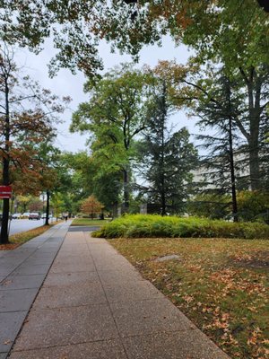 American University by null
