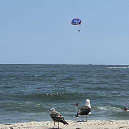 Jenkinsons beach