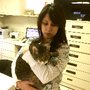 Photo of Giller Animal Hospital