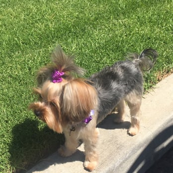 Happy Dog - Pet Stores Near Me - Camarillo, California