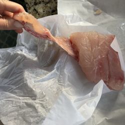 Fishery Seafood Market