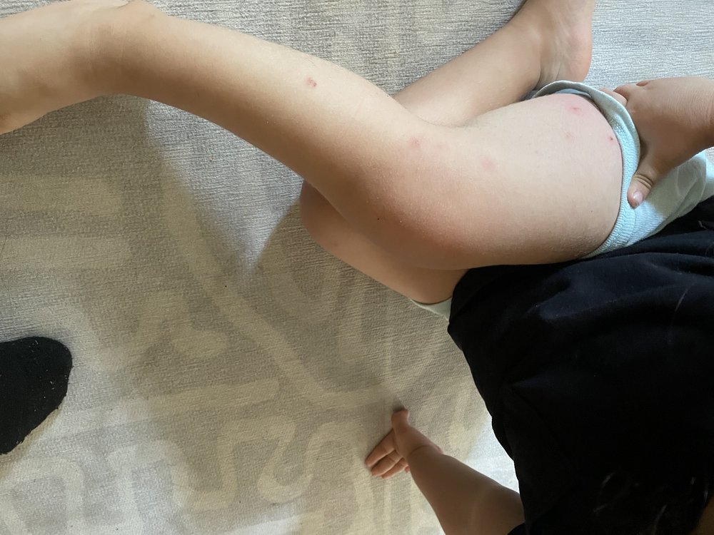 Pacific Oaks Children's School - childcare center in Pasadena, CA