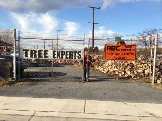 Abc Tree Removal Specialist 8218 Beach Dr Dundalk Md Unknown Mapquest