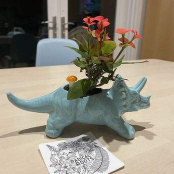 Radical Roots Collective - Adorable dinosaur planter from Radical Roots - Flowers & Gifts Near Me - Bainbridge Island, Washington Radical Roots Collective - Adorable dinosaur planter from Radical Roots - Flowers & Gifts Near Me - Bainbridge Island, Washington