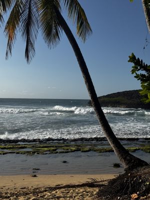 Reserva Natural Cueva del Indio by null