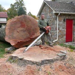 Bush Creek Tree Service - What a tricky takedown.