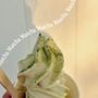 Oh My Popsicle