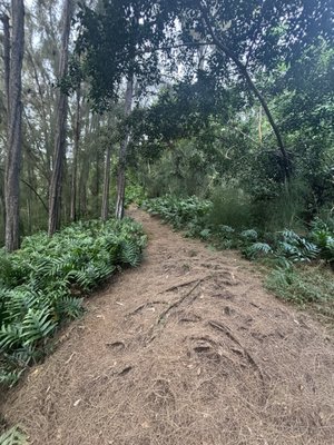 Hauʻula Loop Trail by null