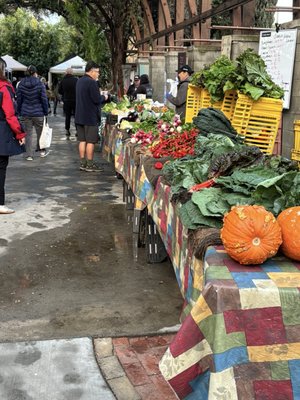 The Vineyard Farmer's Market by null