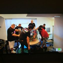Helping Atm install a 300 gallon aquarium for Prince Royce on the TV show "tanked" on animal planet