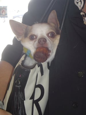 POT DE GATEAU (PO-DUH-GA-TOE) by null