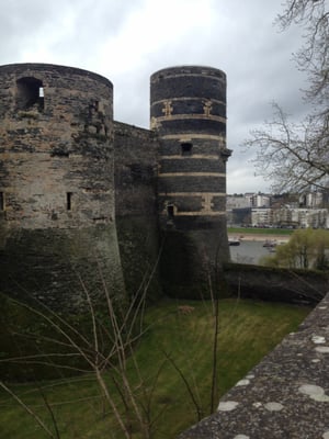 Château d'Angers by null