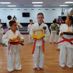 Team Tiger Karate Club