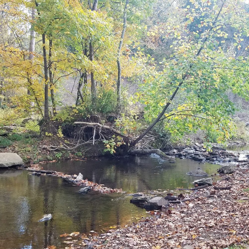 Greenbrier Lake Park and Playground - Parks Near Me - Greenbrier, Tennessee