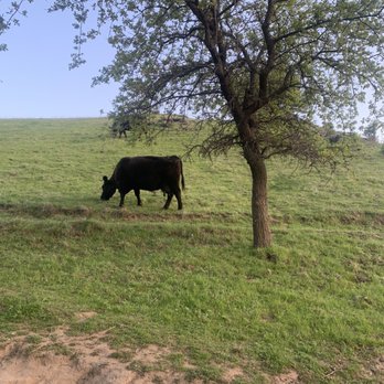 Pena Adobe Regional Park - Parks Near Me - Vacaville, California Pena Adobe Regional Park - Parks Near Me - Vacaville, California