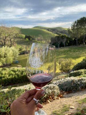 Demetria Estate & Vineyards by null