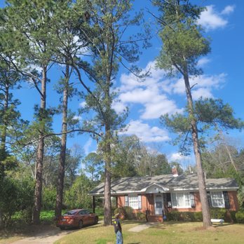 Jason's Tree Service - Tree Services Near Me