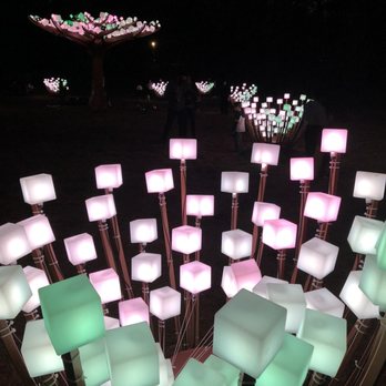Entwined Lighted Forest - 2/21/21 - Public Art Near Me - San Francisco, California Entwined Lighted Forest - 2/21/21 - Public Art Near Me - San Francisco, California