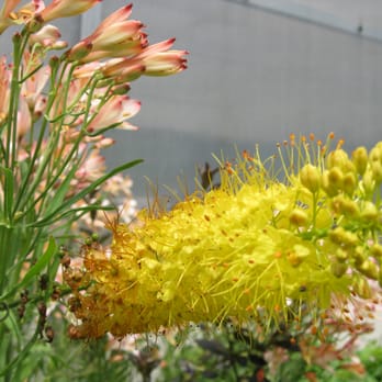 Washington Park Arboretum - Parks Near Me - Seattle, Washington Washington Park Arboretum - Parks Near Me - Seattle, Washington