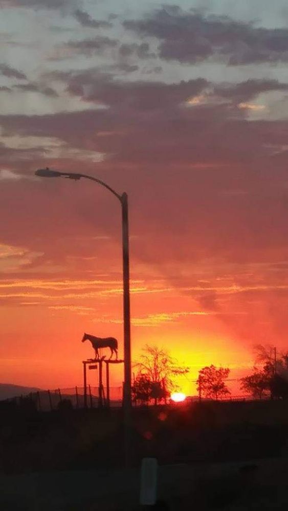 Slide of Eleazars Roofing