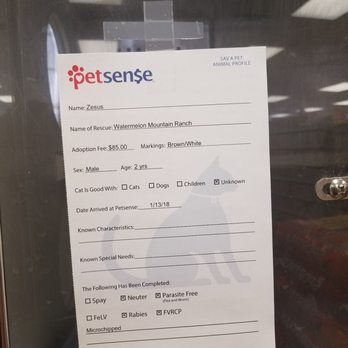 Petsense - He is ready for a good home - Pet Groomers Near Me - Rio Rancho, New Mexico